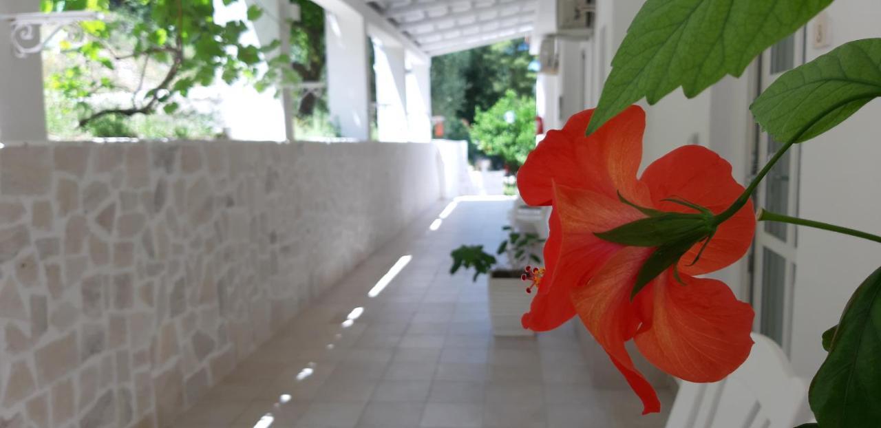 La Locanda Della Castellana Adults Only Peschici Ngoại thất bức ảnh